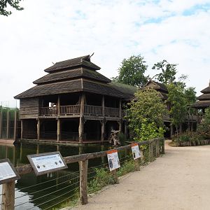 Craftman's House with wood carving and smaller orangutan house, 2022-09-15