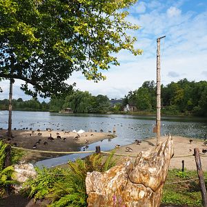 View of lake, 2022-09-15