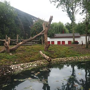 Part of Asiatic black bear exhibit, Asiatic black bear house and exterior of Cathedral aviary, 2022-09-15