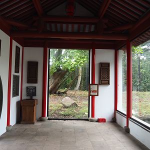 Asiatic black bear viewing pavilion, 2022-09-15
