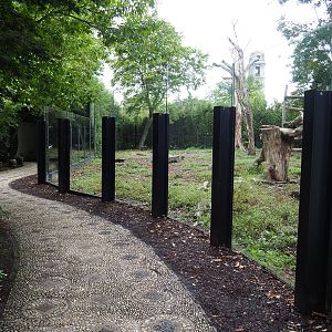 Walkway with Asiatic black bear viewing windows, 2022-09-15