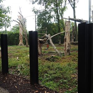 Part of Asiatic black bear exhibit, 2022-09-15