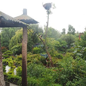 View from the red panda viewing area down to the lower section of The Middle Kingdom, 2022-09-14