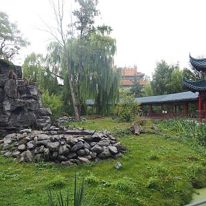 Japanese macaque exhibit, 2022-09-14