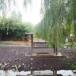 Père David's deer, Reeves's muntjac, European white stork and Red-crowned crane exhibit, 2022-09-14