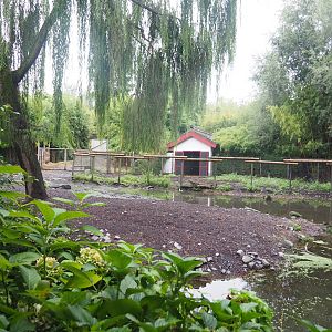 Père David's deer, Reeves's muntjac, European white stork and Red-crowned crane exhibit, 2022-09-14