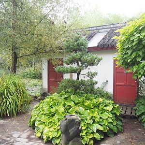 Père David's deer, Reeves's muntjac and Red-crowned crane barn, 2022-09-15