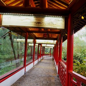 Chinese viewing corridor, 2022-09-15