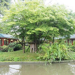 Red panda exhibit, 2022-09-15