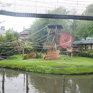 Golden-cheeked gibbon, Central Chinese goral and Siberian crane exhibit, 2022-09-14