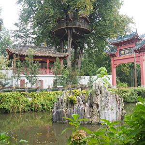 Smooth-coated otter building and exhibit, Chinese gate and tree house, 2022-09-15