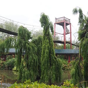 Chinese viewing corridor and Adventure bridge tower, 2022-09-15