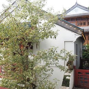 Golden-cheeked gibbon house and part of Chinese restaurant, 2022-09-15