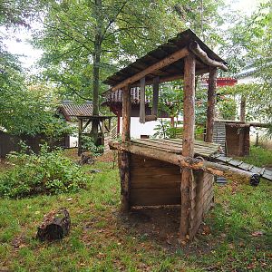 Raccoon dog exhibit, 2022-09-15