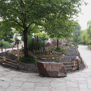 Chinese rock garden, 2022-09-15