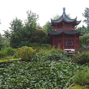Chinese pavilion and water lily pond, 2022-09-15