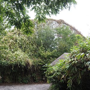 Exterior of Cathedral aviary near Tropicalia greenhouse, 2022-09-15