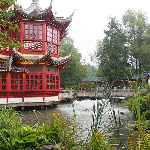 Chinese tea house and Chinese viewing corridor, 2022-09-15