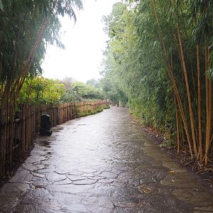 Walkway and viewing area alongside one of the giant panda exhibits, 2022-09-14
