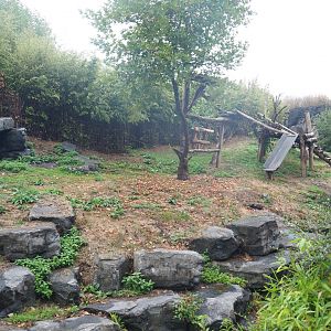 One of the giant panda exhibits, 2022-09-14