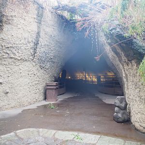 Entrance to giant panda cave with indoor exhibits, 2022-09-14