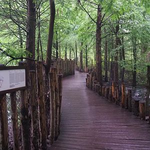 Boardwalk through marsh area with crane exhibits, 2022-09-14