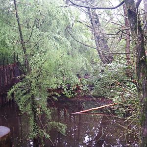 Sarus crane exhibit, 2022-09-14