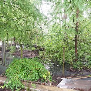 Sarus crane exhibit, 2022-09-15