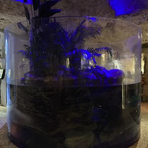 Mundo Maya - River Delta (Former Yapok Exhibit)