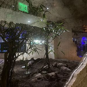 Mundo Maya - Desert Cottontail/Burrowing Owl Exhibit