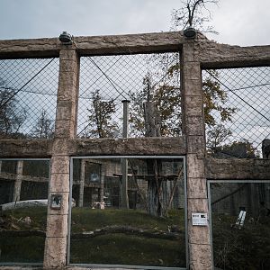 Renovation of Red Panda and tufted deer enclosure