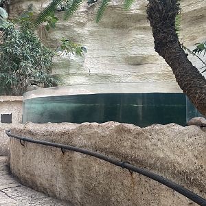 Mundo Maya - Caribbean Creatures Tank