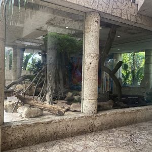 Mundo Maya - Ocelot Exhibit