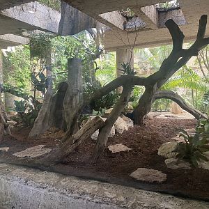 Mundo Maya - Ocelot Exhibit