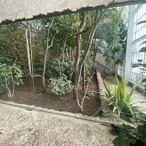 Mundo Maya - Selva Maya Aviary