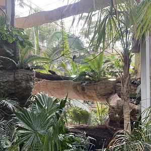 Mundo Maya - Trogon Heights Aviary