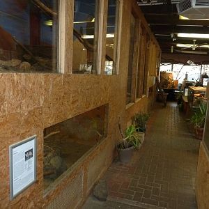 Tropenhalle - Interior