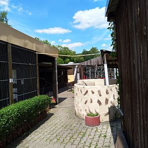 General view (serval enclosure on the left)