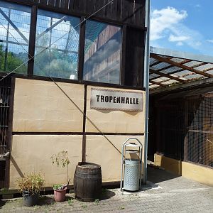 Bearded capuchin enclosure - Entrance Tropenhalle