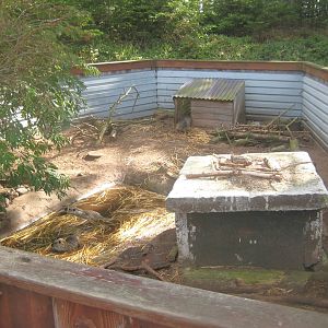 Fun-Park - Coypu exhibit