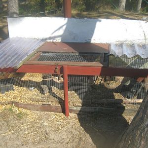 Fun-Park - Gerbil exhibit