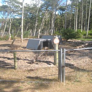 Fun-Park - Mangalitsa pig exhibit