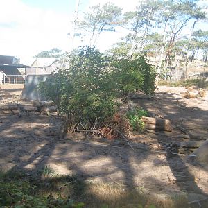 Fun-Park - Mangalitsa pig exhibit