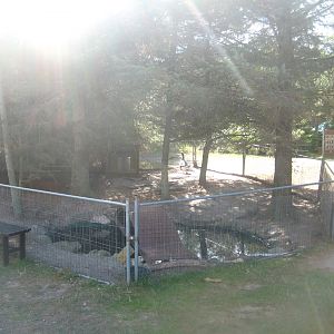 Fun-Park - Goose exhibit