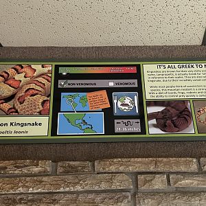 Nuevo León milksnake signage