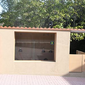 Meerkat Exhibit (indoor section)