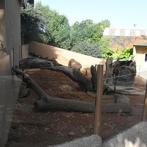 Meerkat Exhibit (outdoor section)