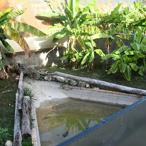 Reptile House (one of outdoor exhibits)
