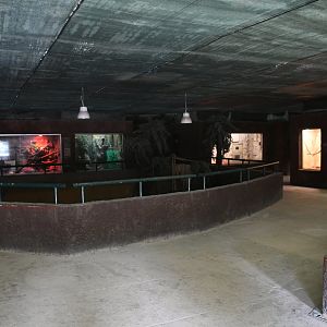 Reptile House interior (Iguanas exhibit in the center)