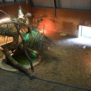 Reptile House (African Spurred Tortoises, Green Iguanas)